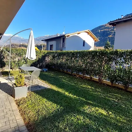 Sole Tra I Gelsi Tirano