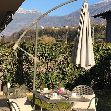 Sole Tra I Gelsi * Tirano